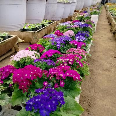 Прикрепленное изображение: IMG_20240226_130028_158.jpg